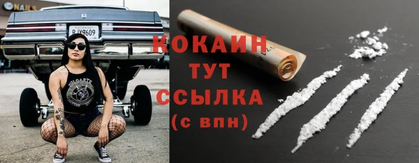 apvp Аркадак