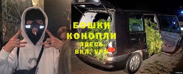 apvp Аркадак