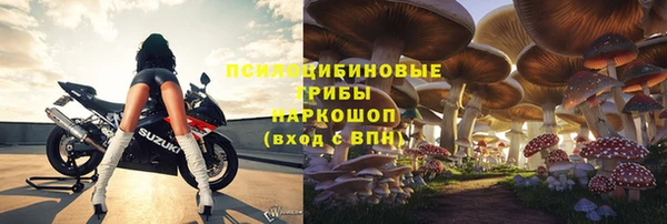 apvp Аркадак