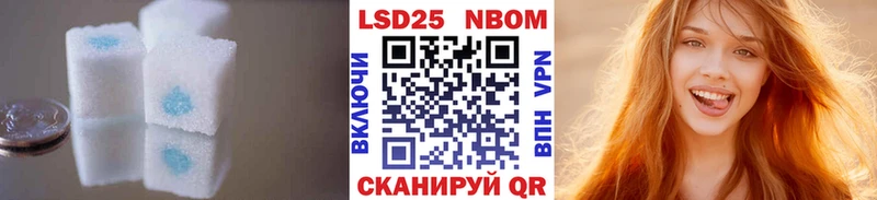где купить наркоту  Козьмодемьянск  blacksprut ссылка  ЛСД экстази ecstasy 